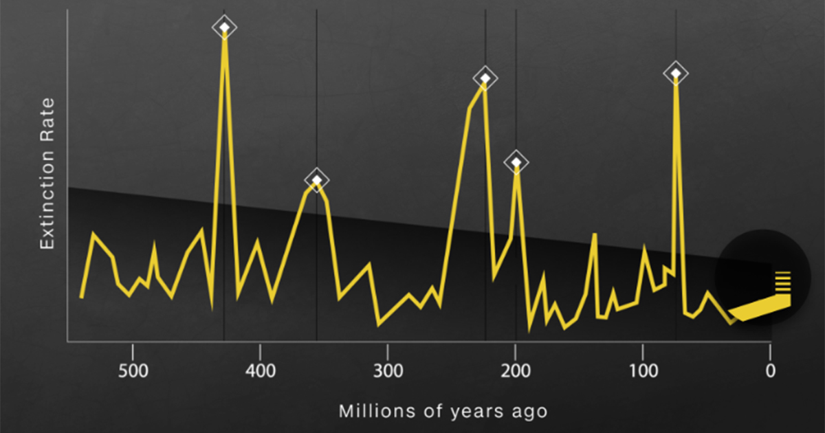 Extinctions graph